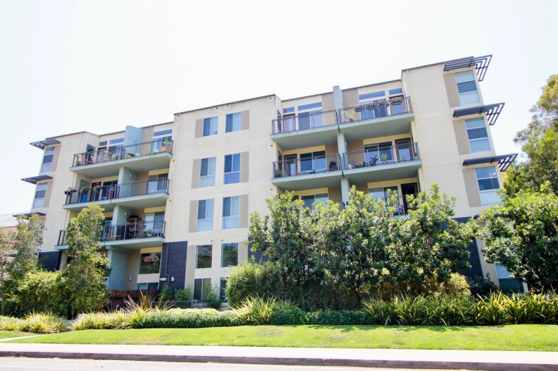 Museo Hancock Park CA